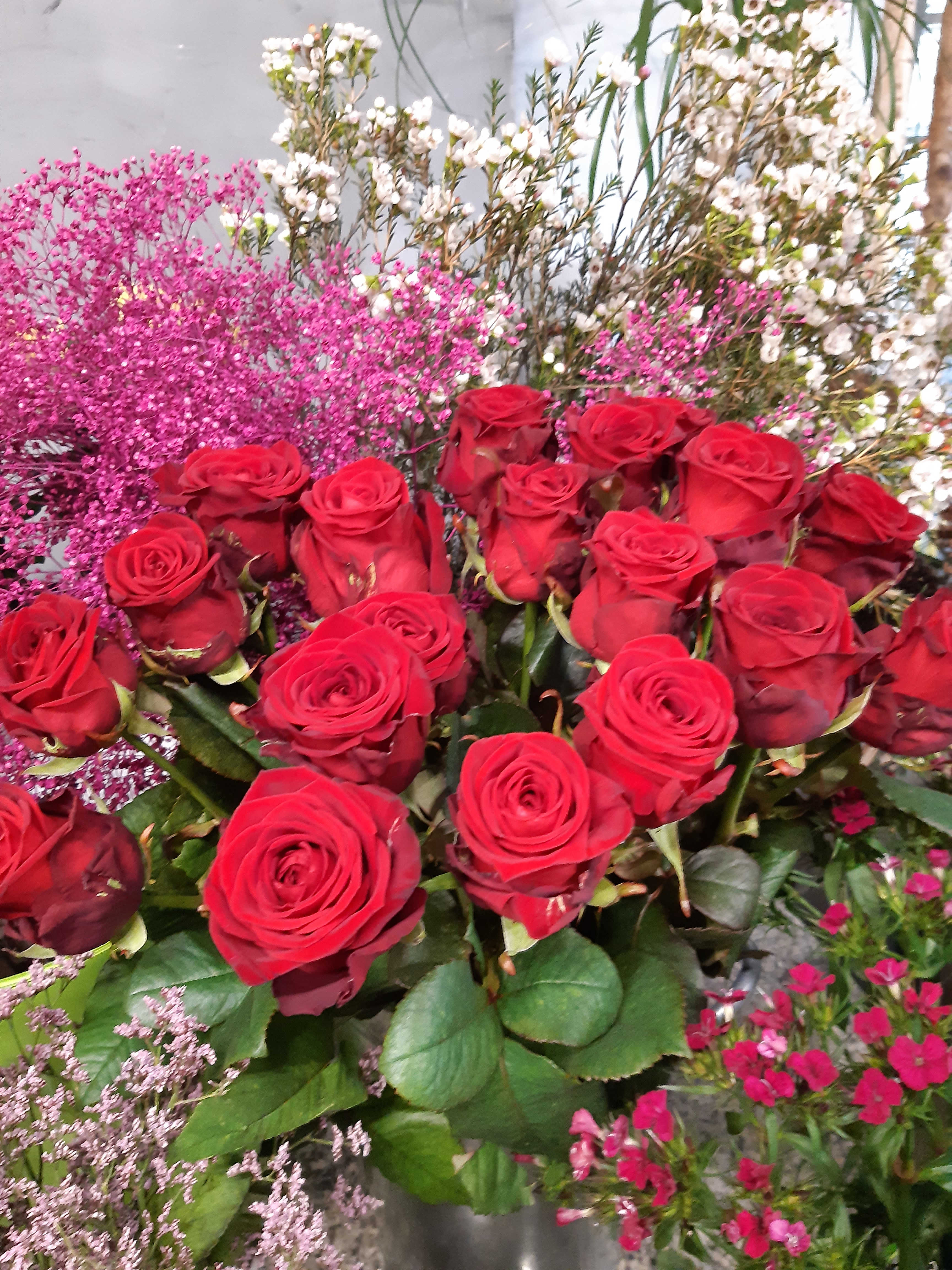 50 langstielige Rosen - mit Karte